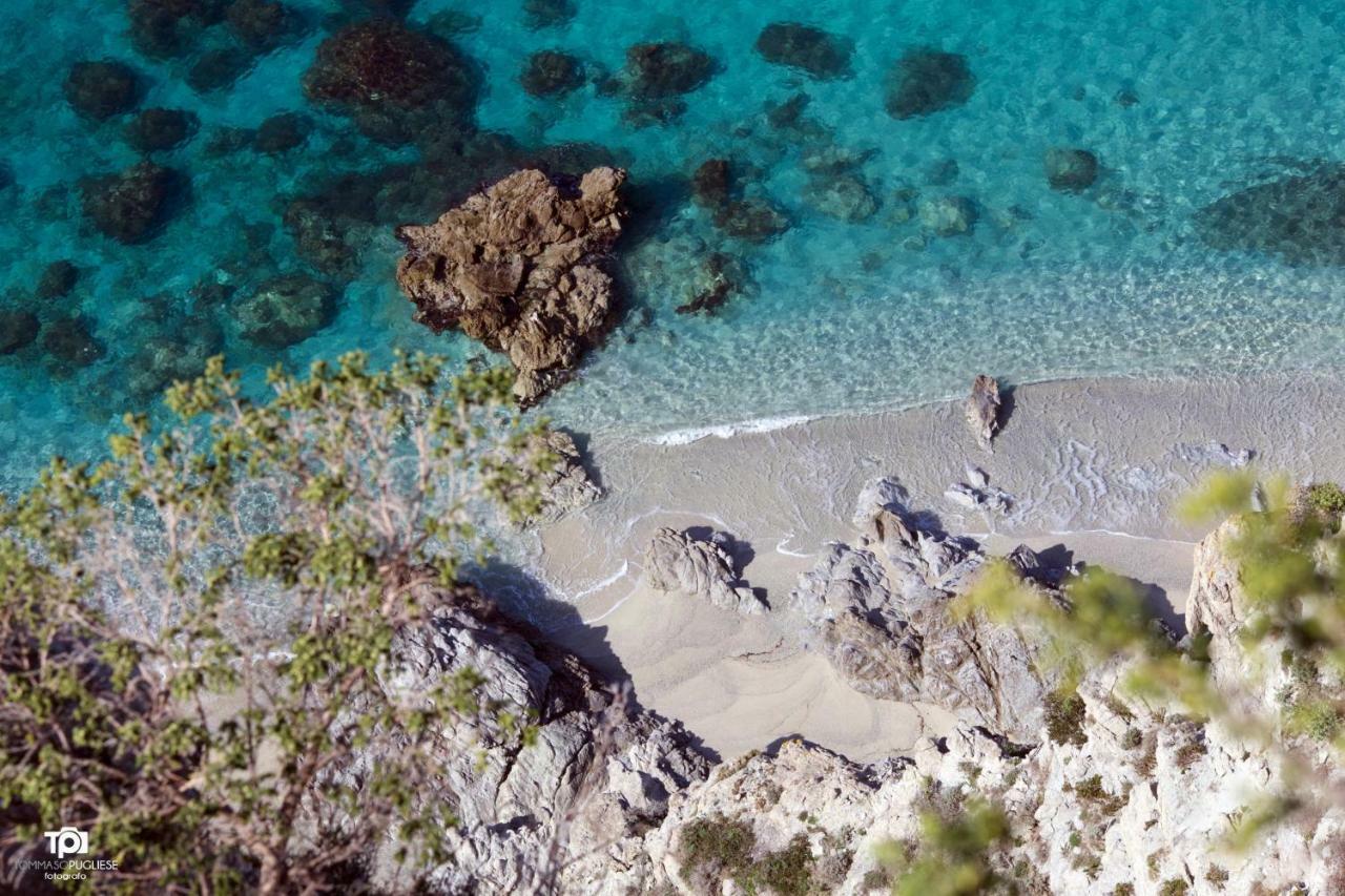 Villa Alice Capo Vaticano Exterior foto